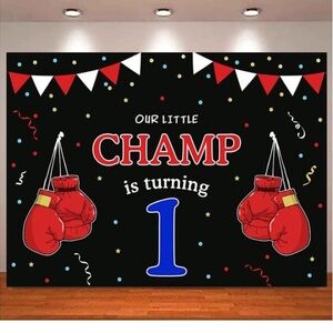 Photography Backdrop Boy Boxing Party First 1st Birthday